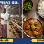 Today Chicken Paper Rate in Odisha